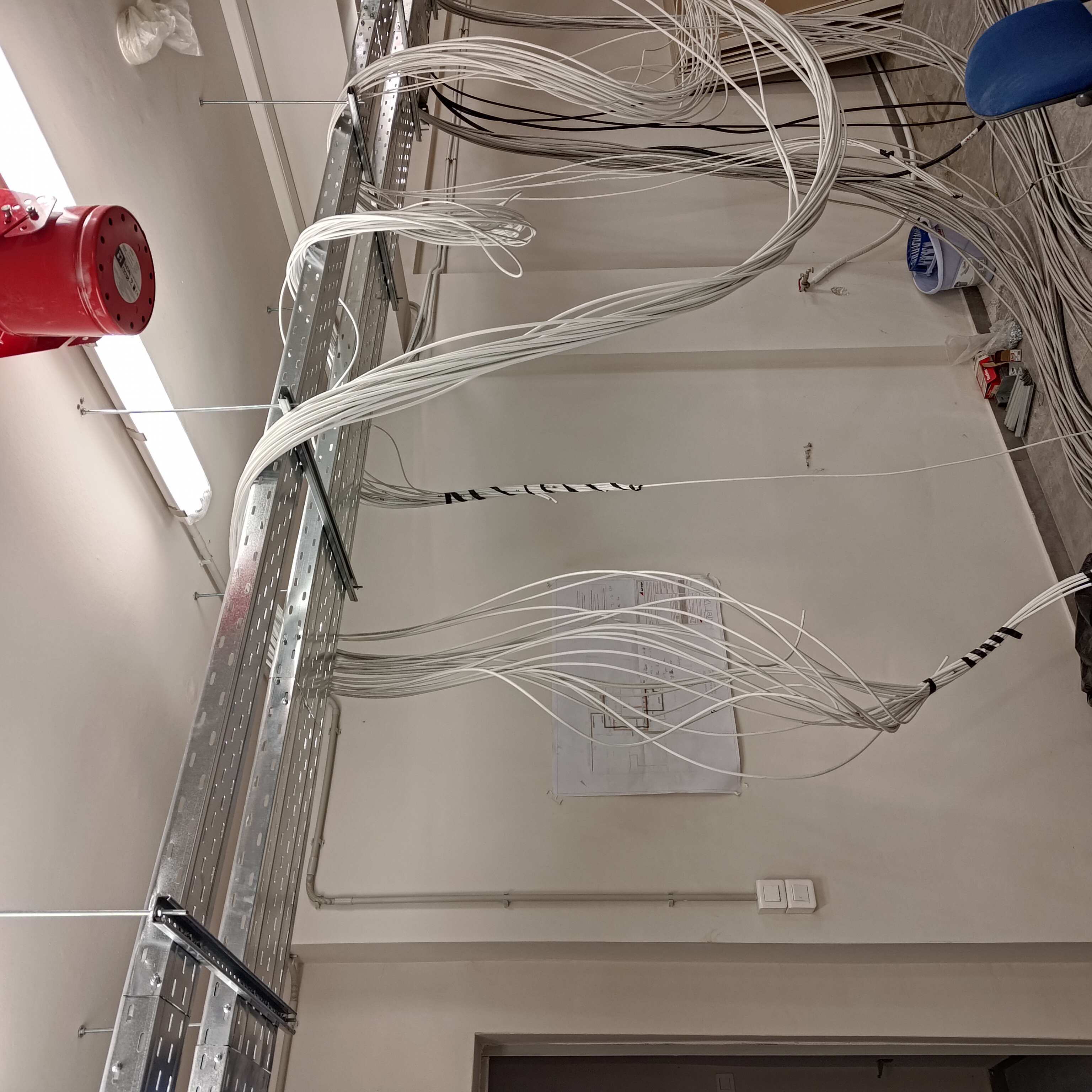 Network Service